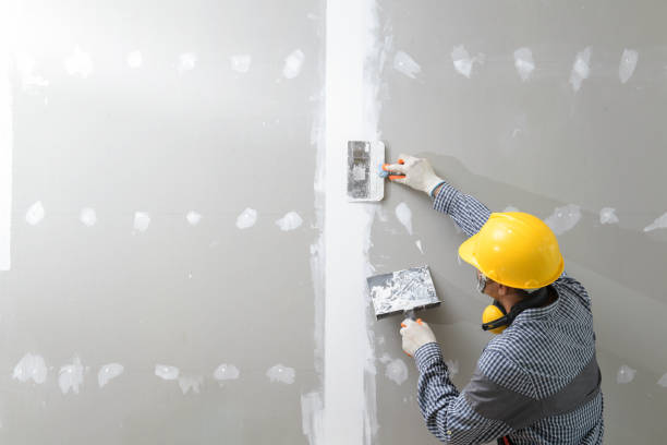 Best Mold Odor Removal Services  in Lafayette, OR